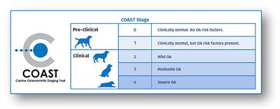 Proposed Canadian Consensus Guidelines on Osteoarthritis Treatment Based on OA-COAST Stages 1–4